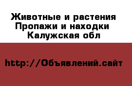 Животные и растения Пропажи и находки. Калужская обл.